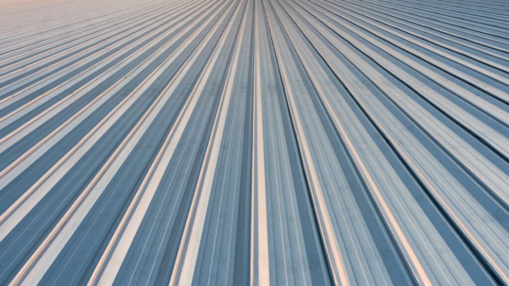 Osobine i vrste limova